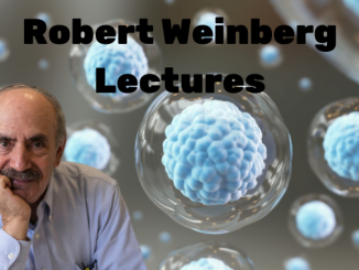 sima lev robert weinberg lectures